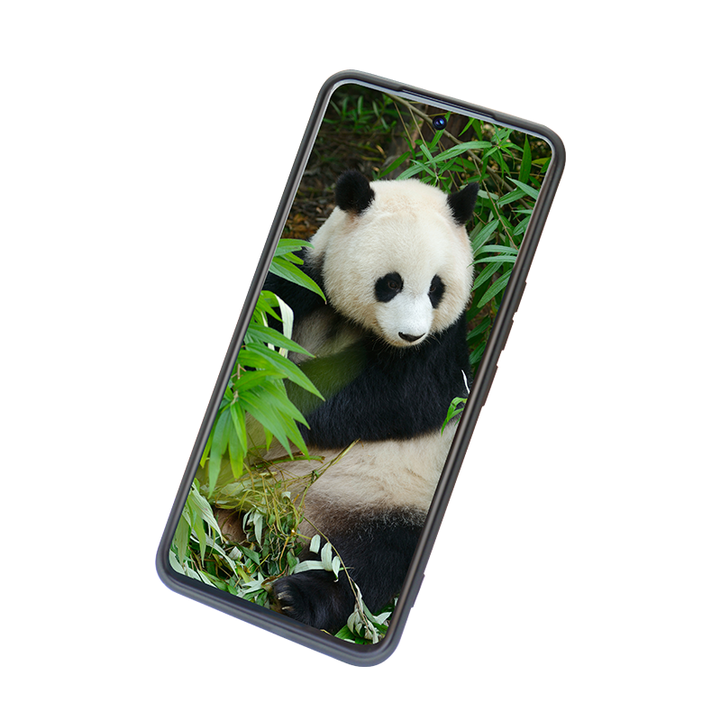 Ultra Thin Rugged Phone